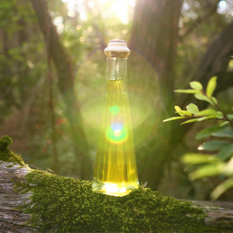 Light of Eärendil is a magical elven potion. This botanical infused oil is organic, vegan, wild crafted and zero waste.