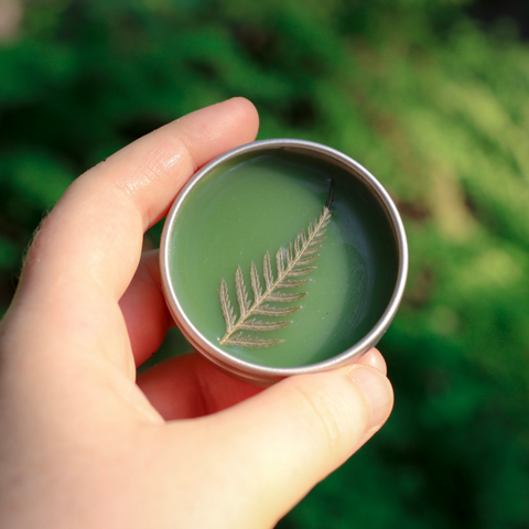 Sweet Fern Salve in the sunlight. Deep green herbal infused elvish medicine.